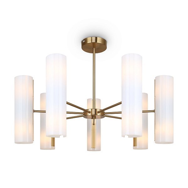 Потолочный светильник Fiore FR5368CL-14BS
