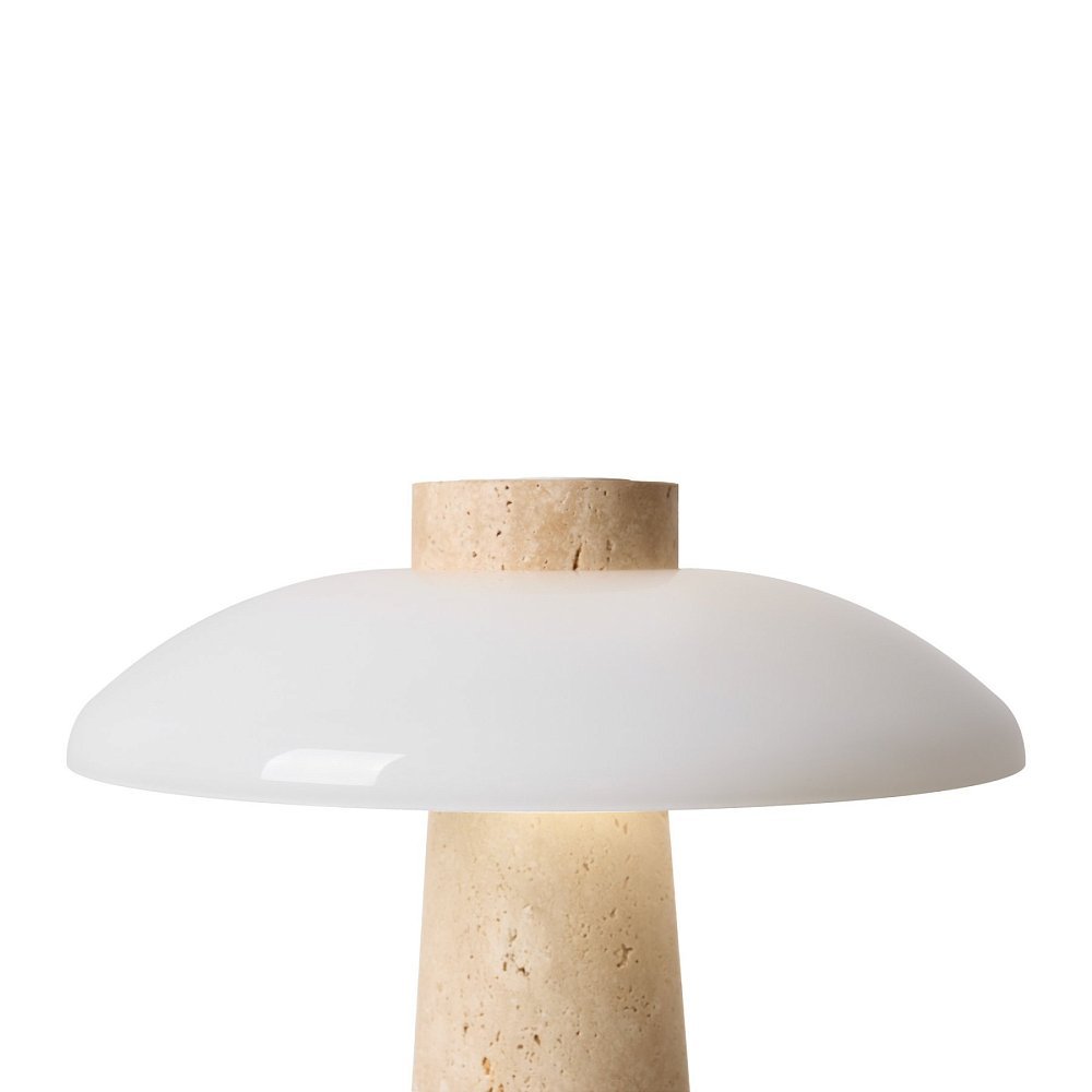Настольный светильник Sunspot FR5482TL-L7BG