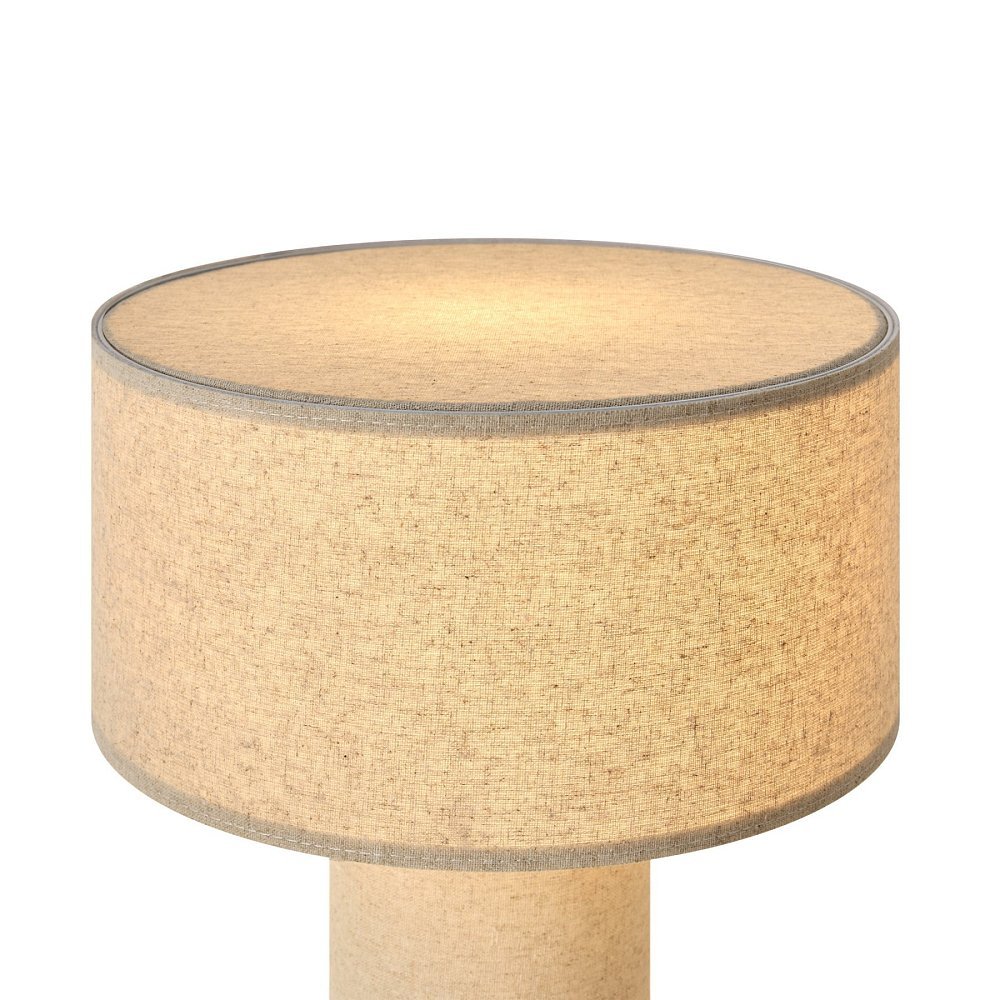 Настольный светильник Raccolto FR5623TL-01CR