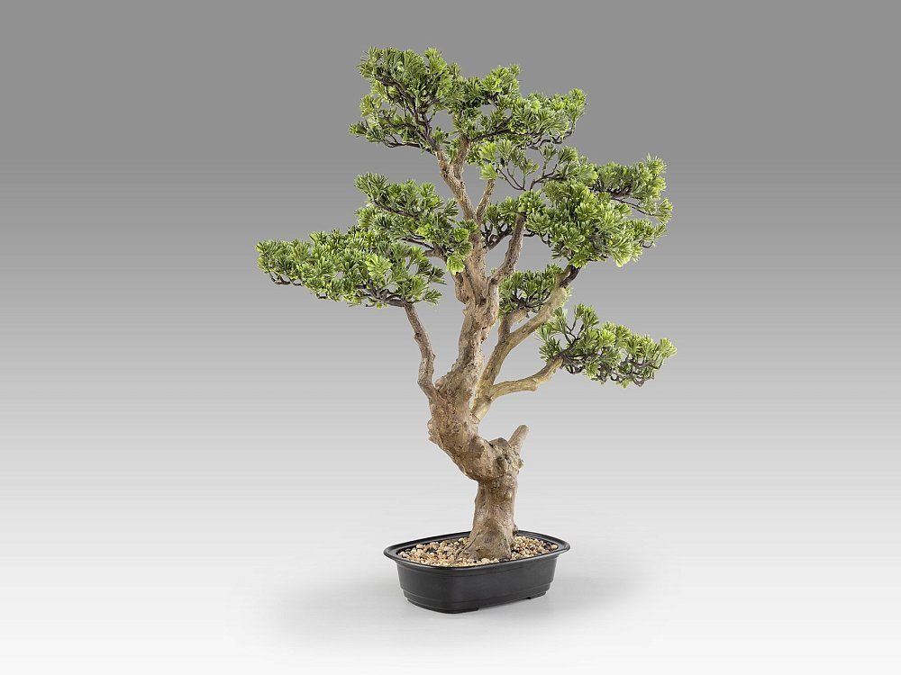 Sokan - bonsai 81cm Искусственное растение