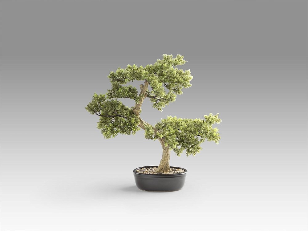 Bankan - bonsai 75cm Искусственное растение