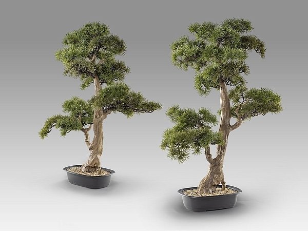 Chokkan - bonsai 83cm Искусственное растение из 2 предметов