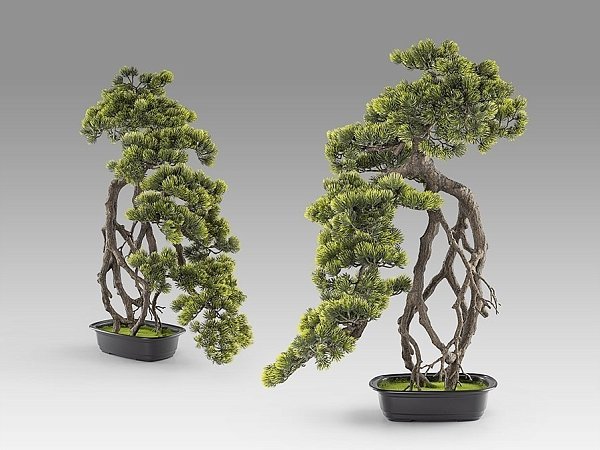 Kengai bonsai 74см Искусственное растение из 2 предметов