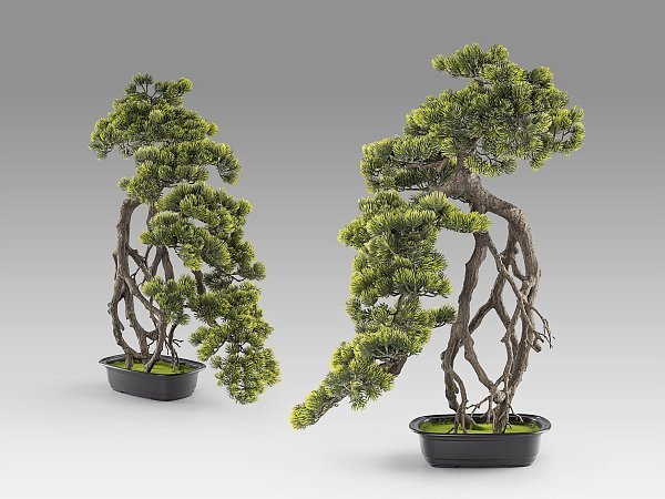 Kengai bonsai 74см Искусственное растение из 2 предметов
