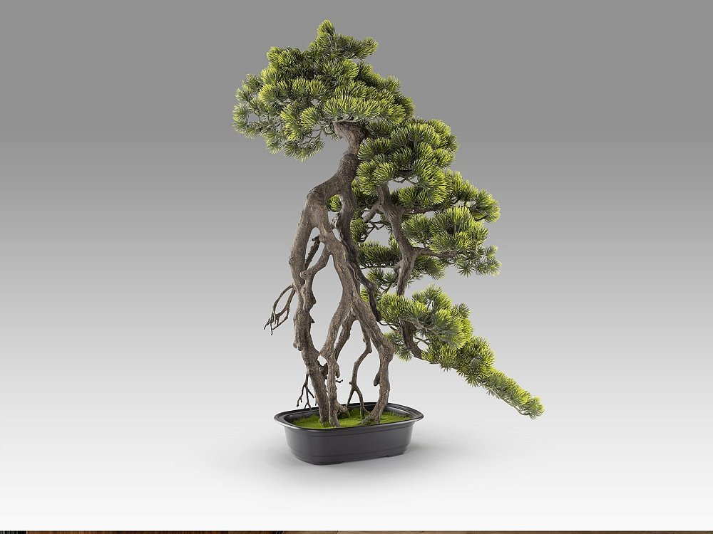 Kengai bonsai 74см Искусственное растение из 2 предметов