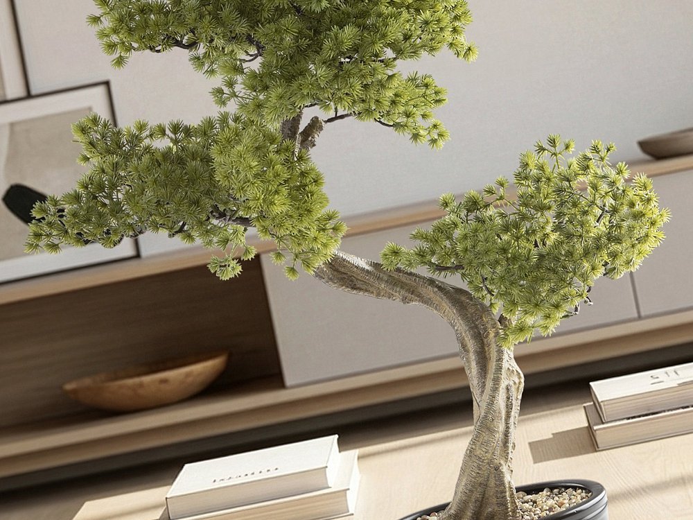Bankan II bonsai 49cm набор из двух предметов