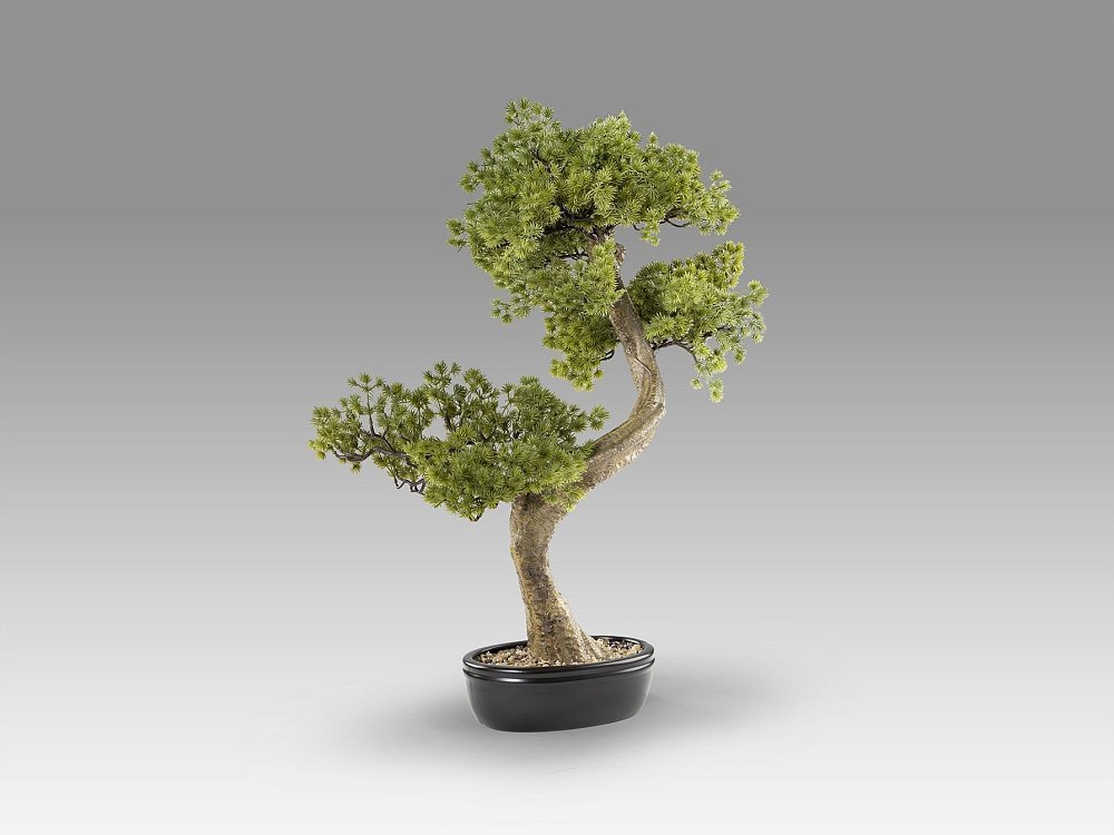 Bankan II bonsai 49cm набор из двух предметов