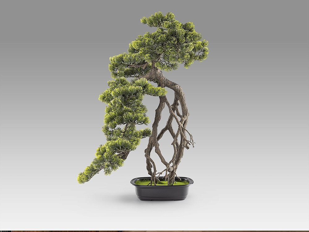 Kengai bonsai 74см Искусственное растение из 2 предметов