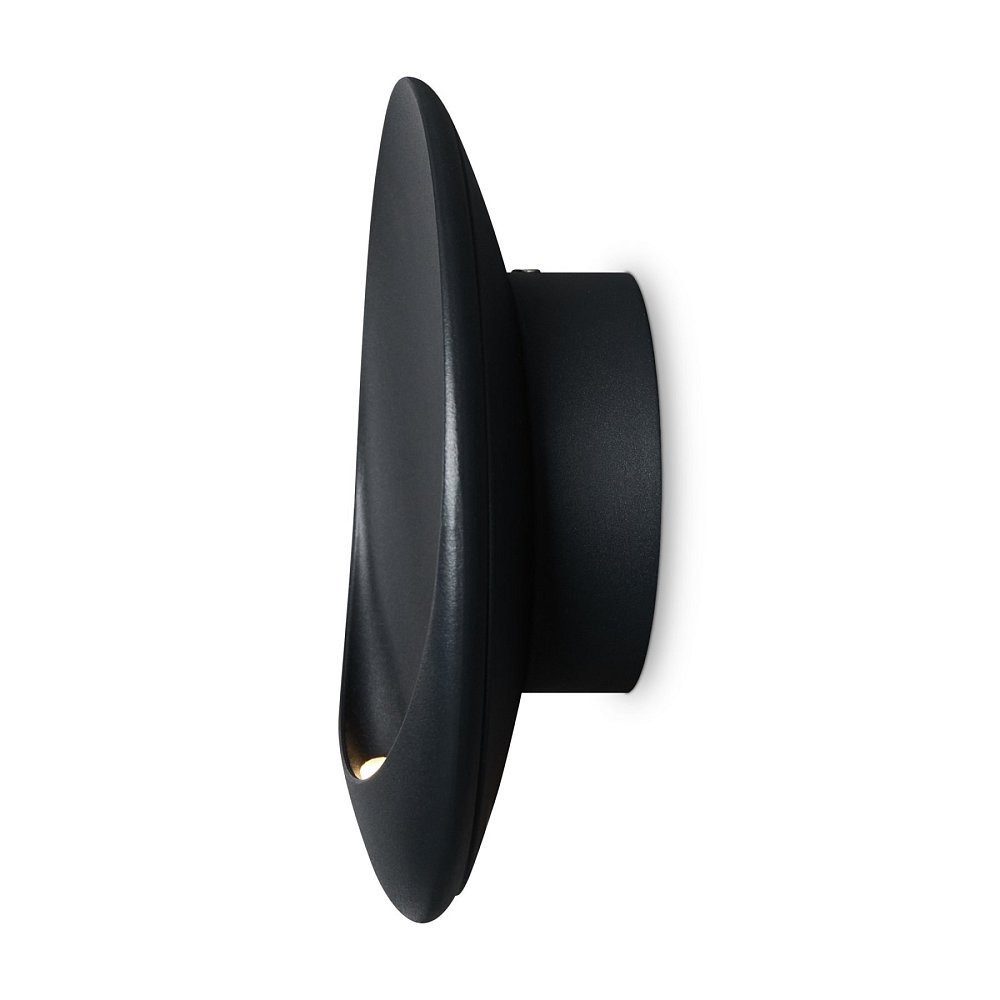 Настенный светильник (бра) Clam FR6188WL-L5B