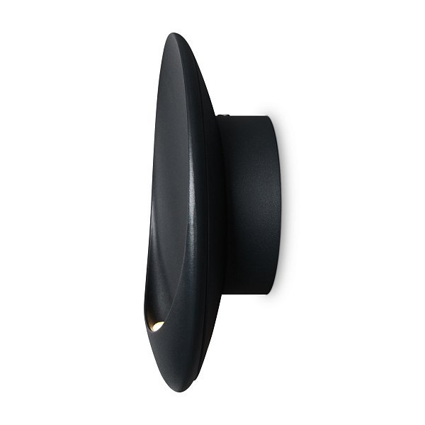Настенный светильник (бра) Clam FR6188WL-L5B