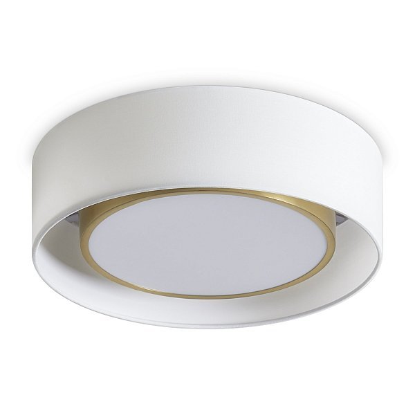 Потолочный светильник Cozy FR6170CL-L52BS
