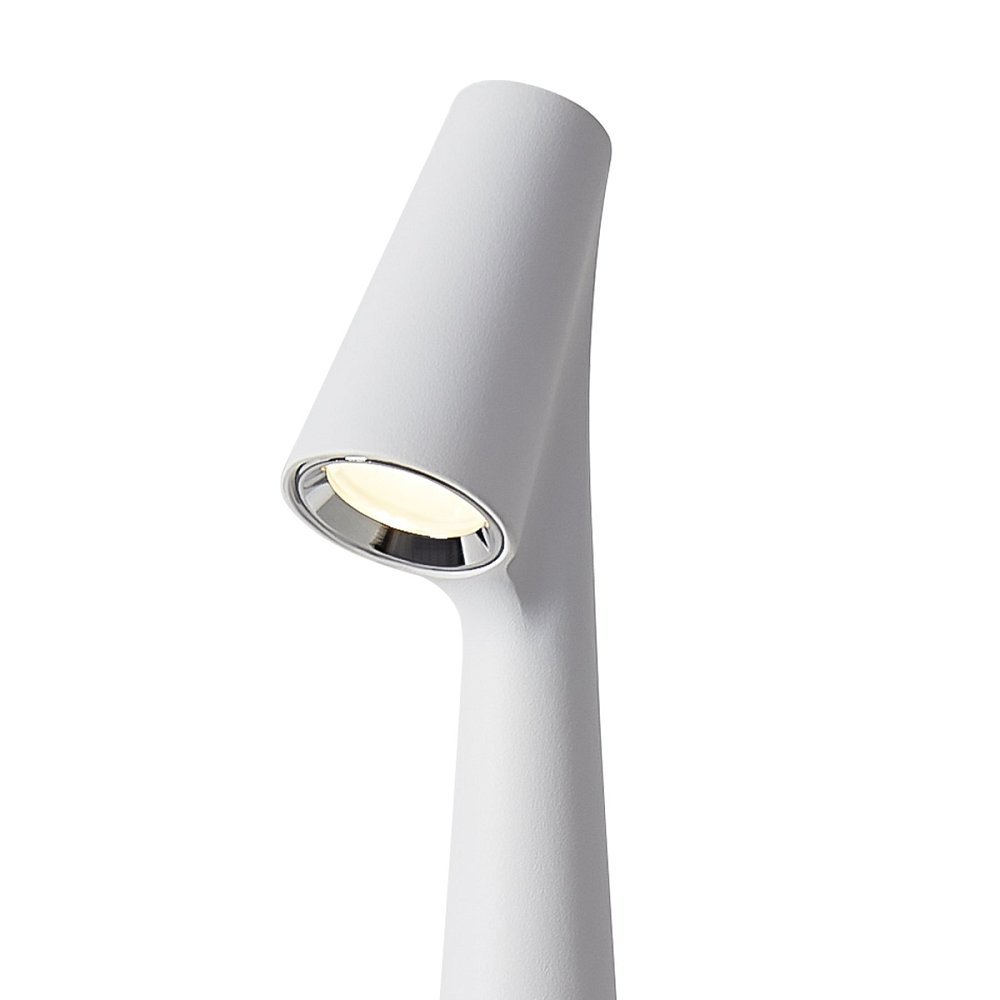 Настольный светильник Clam FR6188TL-L3W