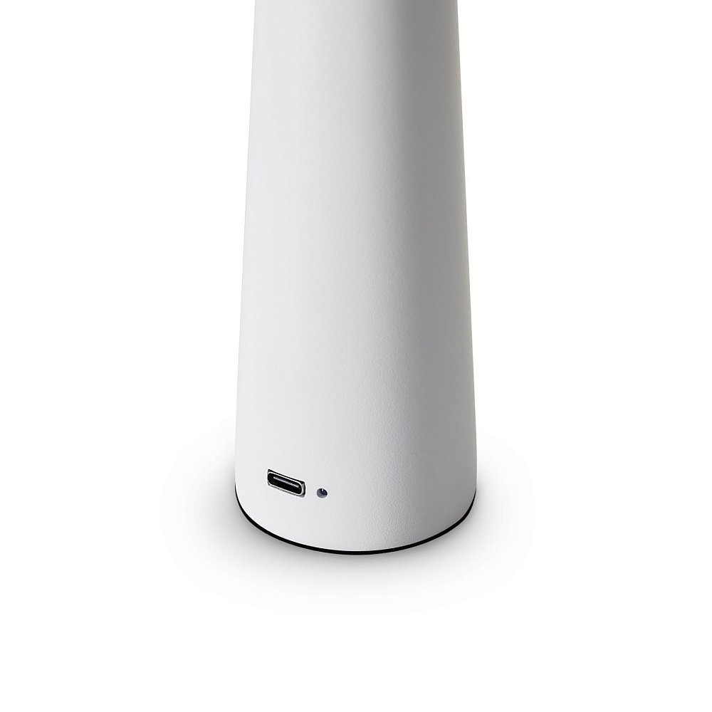 Настольный светильник Clam FR6188TL-L3W