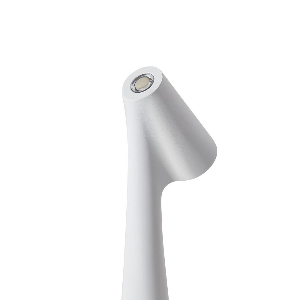 Настольный светильник Clam FR6188TL-L3W