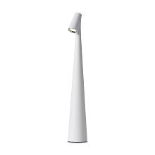Настольный светильник Clam FR6188TL-L3W