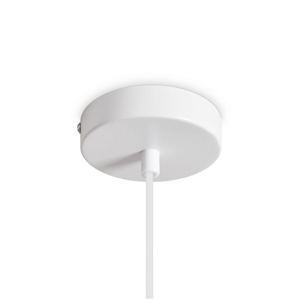 Подвесной светильник Shapes FR5530PL-01W