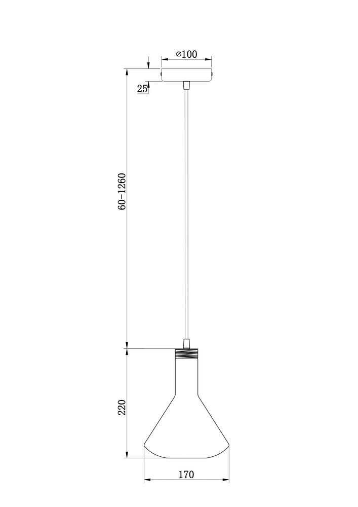 Подвесной светильник Lizia FR8010PL-01GB