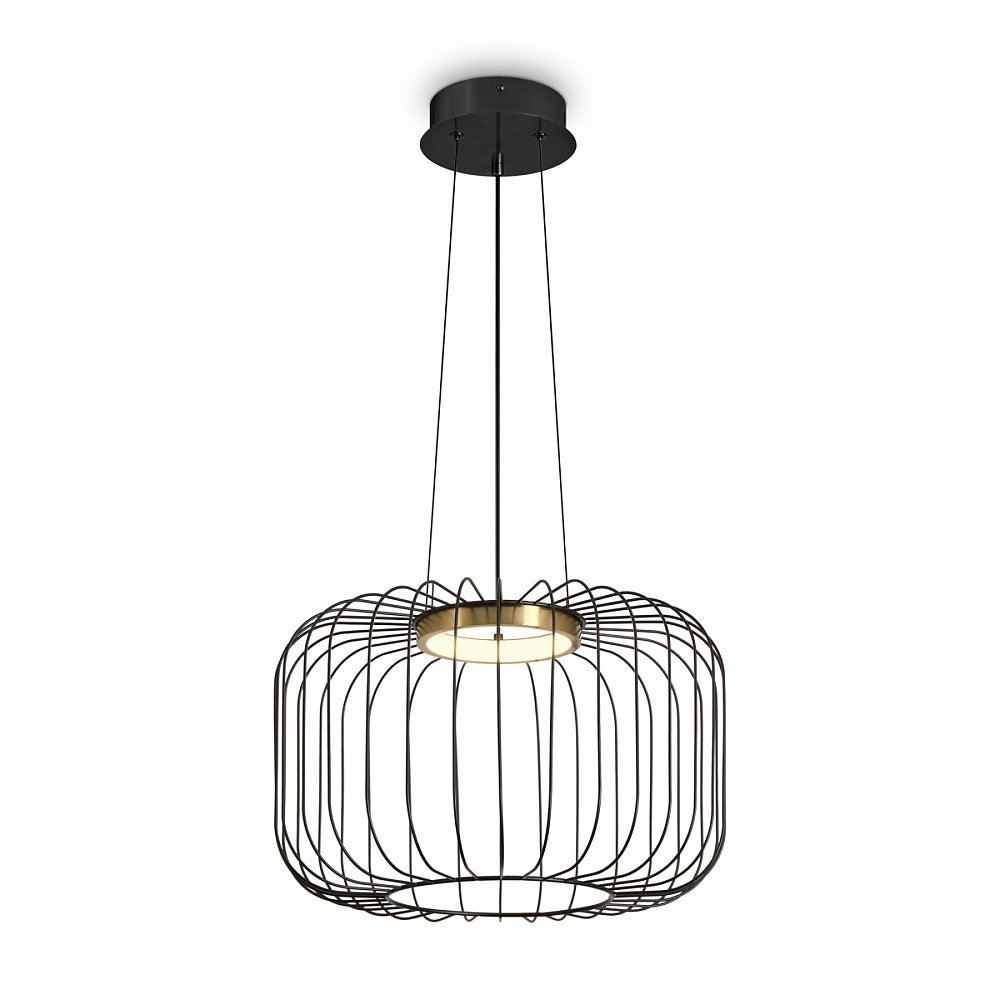 Подвесной светильник Citrus FR5398PL-L8B