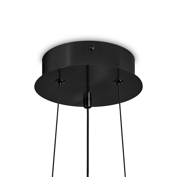 Подвесной светильник Citrus FR5398PL-L8B