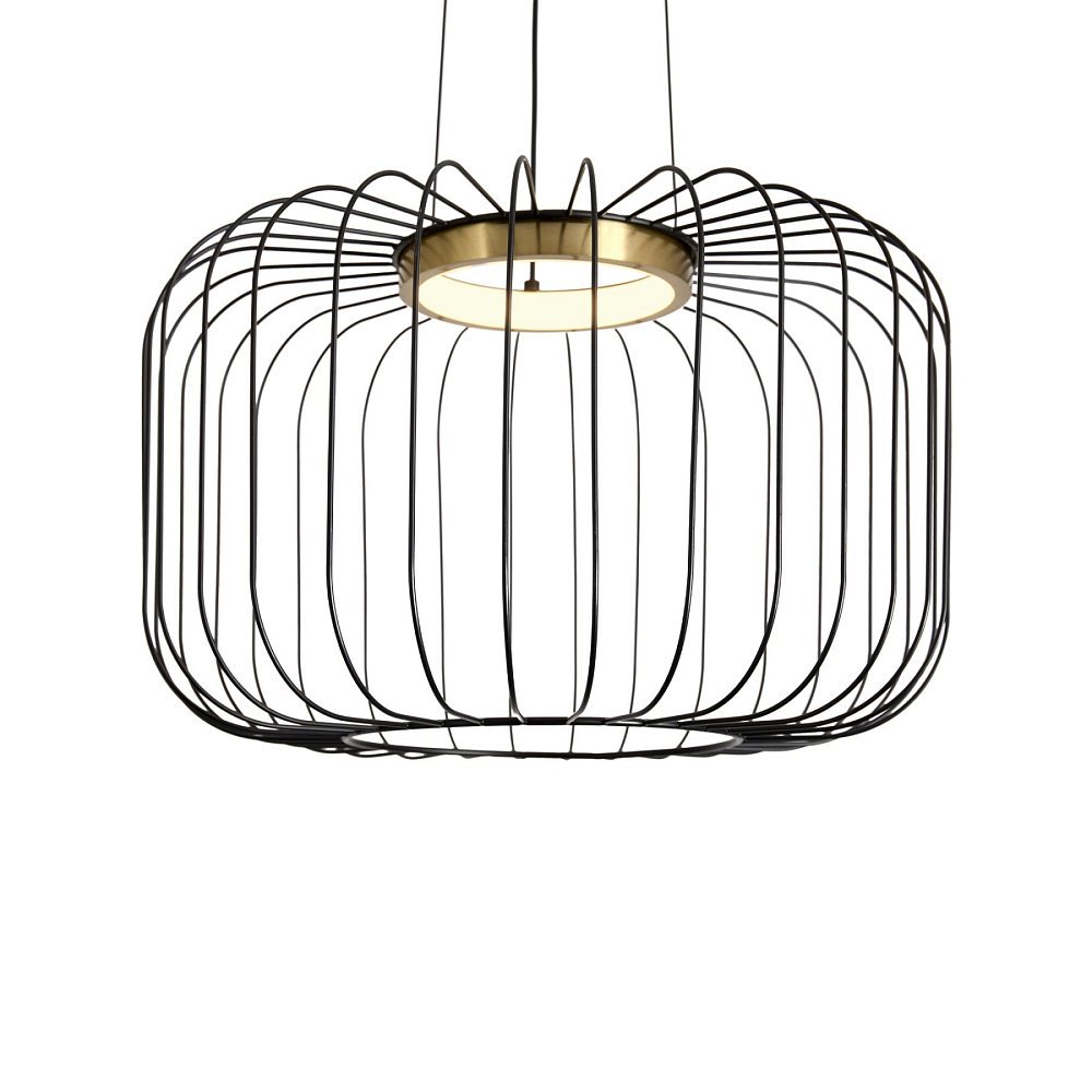 Подвесной светильник Citrus FR5398PL-L8B