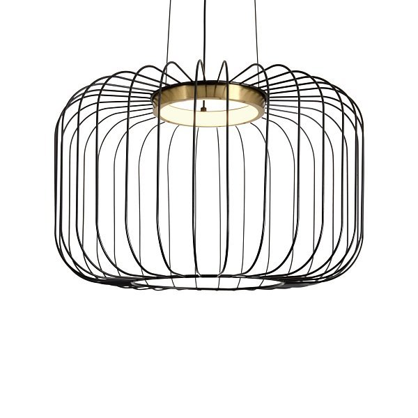 Подвесной светильник Citrus FR5398PL-L8B