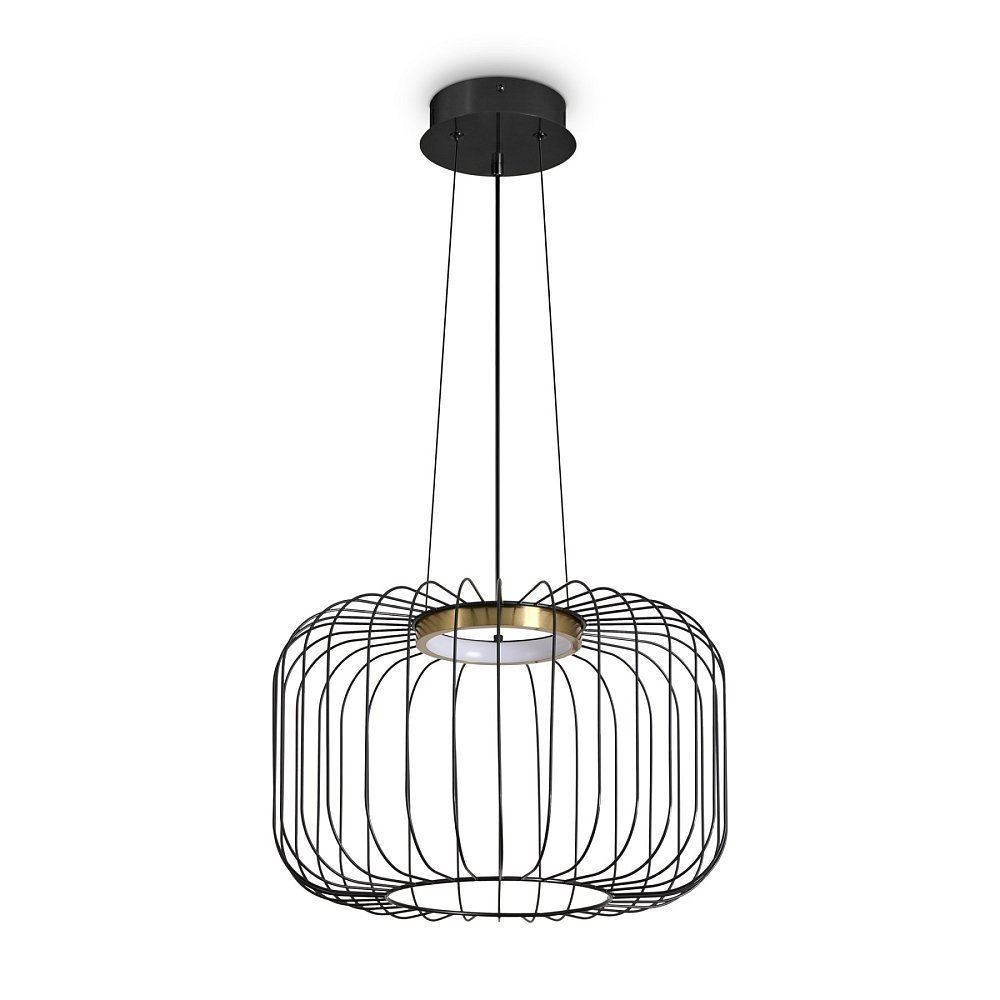Подвесной светильник Citrus FR5398PL-L8B