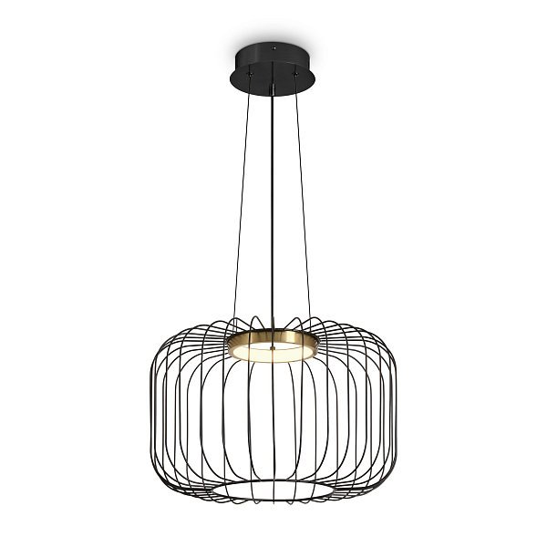 Подвесной светильник Citrus FR5398PL-L8B