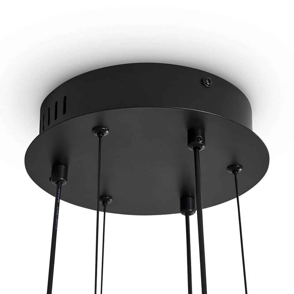 Подвесной светильник Brilliance FR5557PL-L22B1