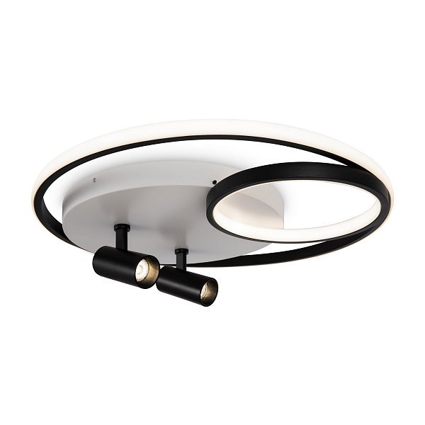 Потолочный светильник Spotlights FR6083CL-L90WB