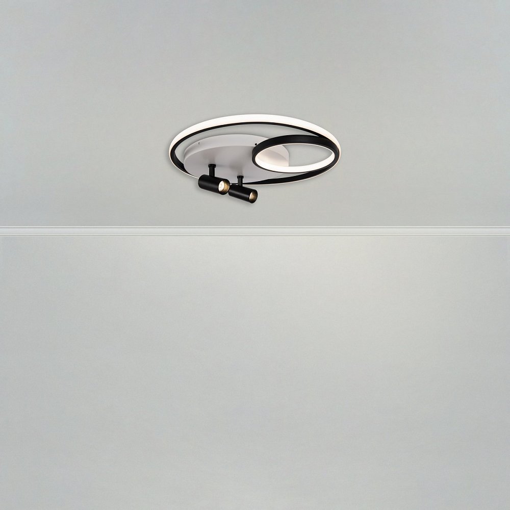 Потолочный светильник Spotlights FR6083CL-L90WB