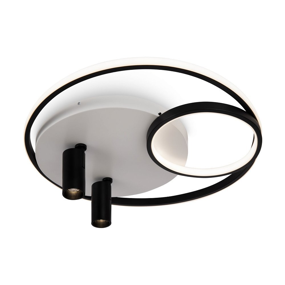 Потолочный светильник Spotlights FR6083CL-L90WB