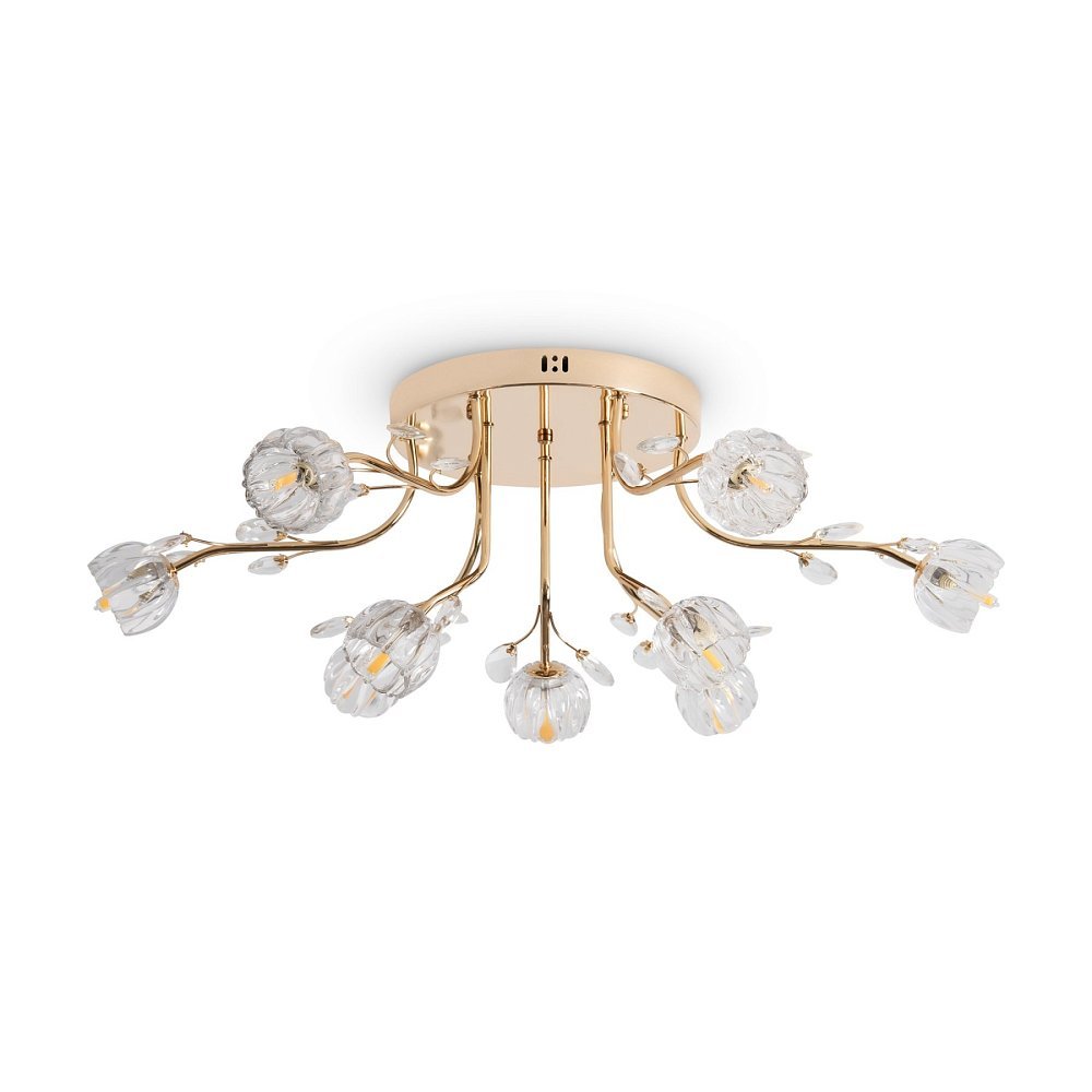 Люстра Фиоресс / Fioress FR5571CL-09G