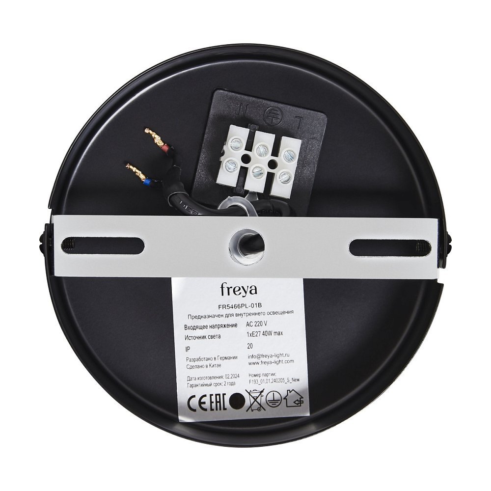 Подвесной светильник Анфас / Enface FR5466PL-01B
