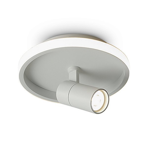 Потолочный светильник Neo FR6040CL-L14W