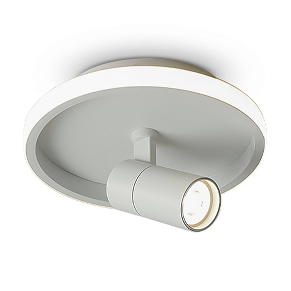 Потолочный светильник Neo FR6040CL-L14W