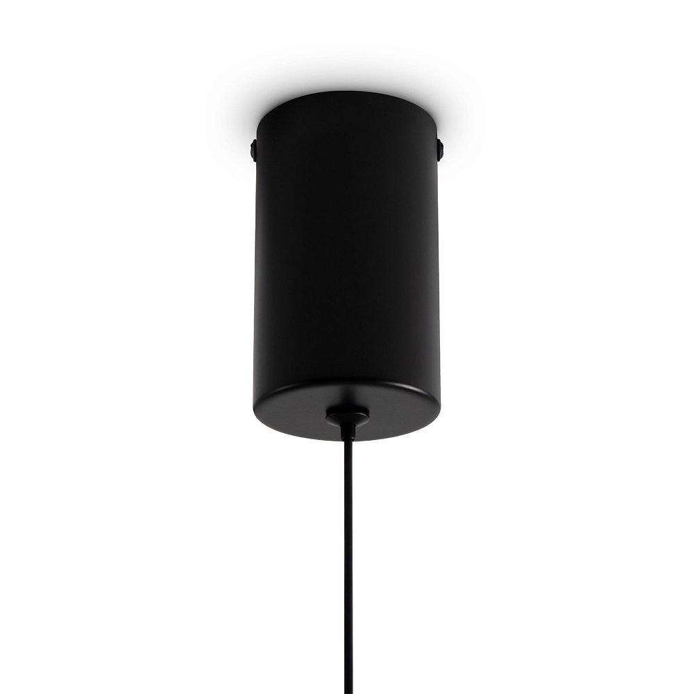 Подвесной светильник Curl FR5624PL-L9CG