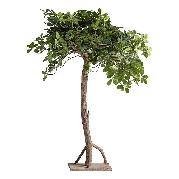 Искусственное растение FICUS 38081
