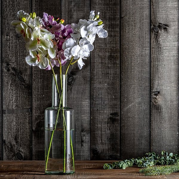 Цветок фиолетового цвета ORQUÍDEA