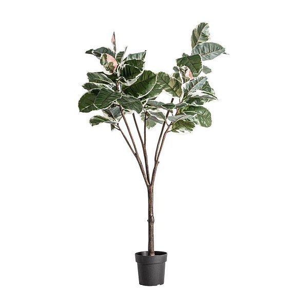 Искусственное растение ROBLE BLANCO