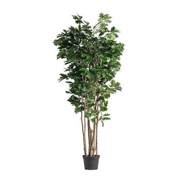Искусственное растение ROBLE