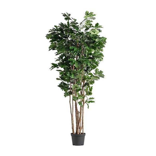 Искусственное растение ROBLE