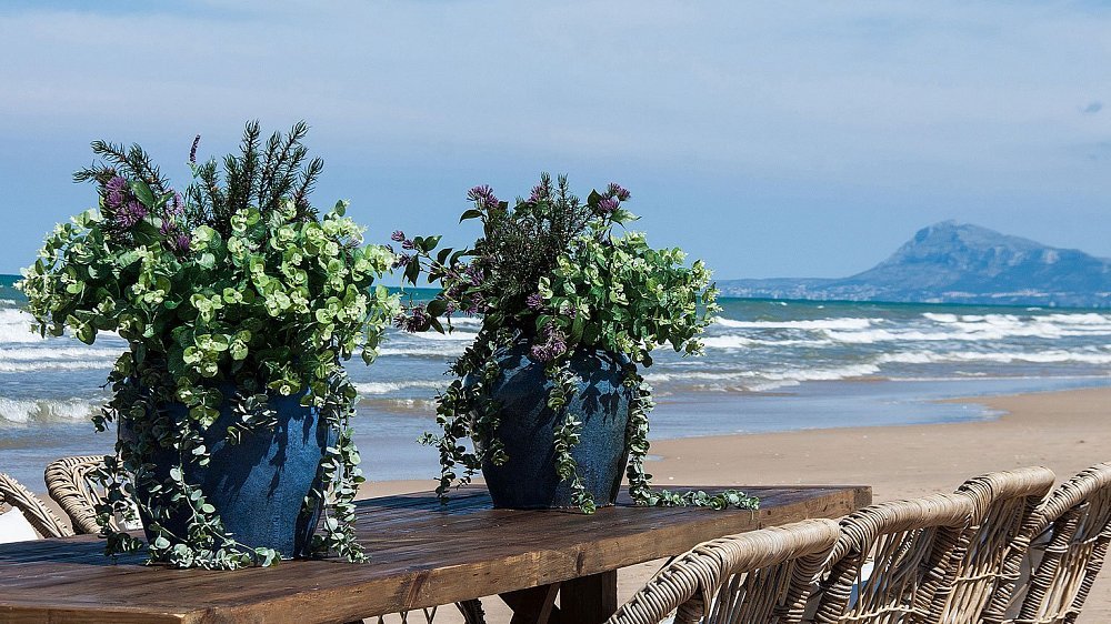 Цветок фиолетового цвета CENTAUREA