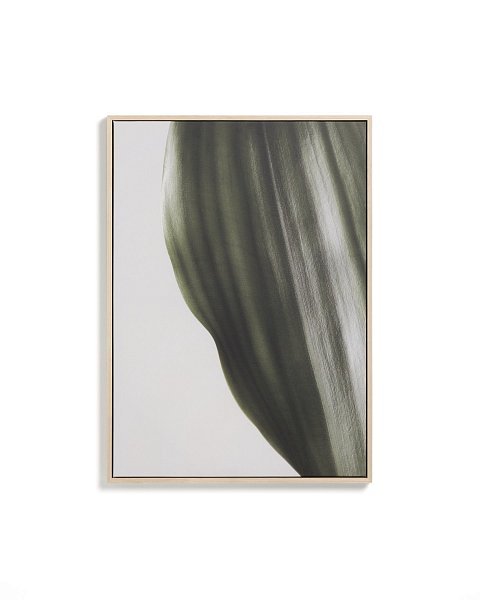 Фотография листа Foliae размер 52 x 72 см