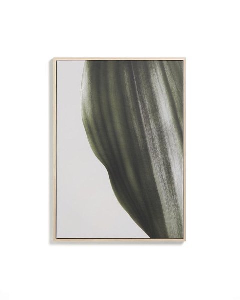 Фотография листа Foliae размер 52 x 72 см