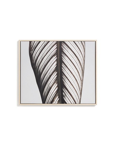 Фотография листа Foliae размер 52,5 x 62,5 см
