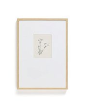 Картина Lirena с ботанической иллюстрацией 50 x 70 см