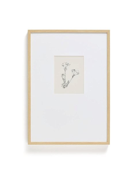 Картина Lirena с ботанической иллюстрацией 50 x 70 см