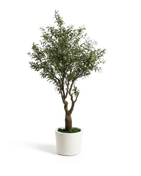 Искусственное дерево Artificial Olive в белом горшке, 210 см
