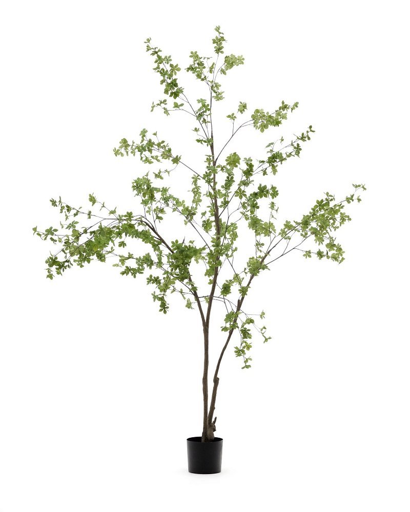 Enkianthus Искусственное дерево с черным горшком 214 см