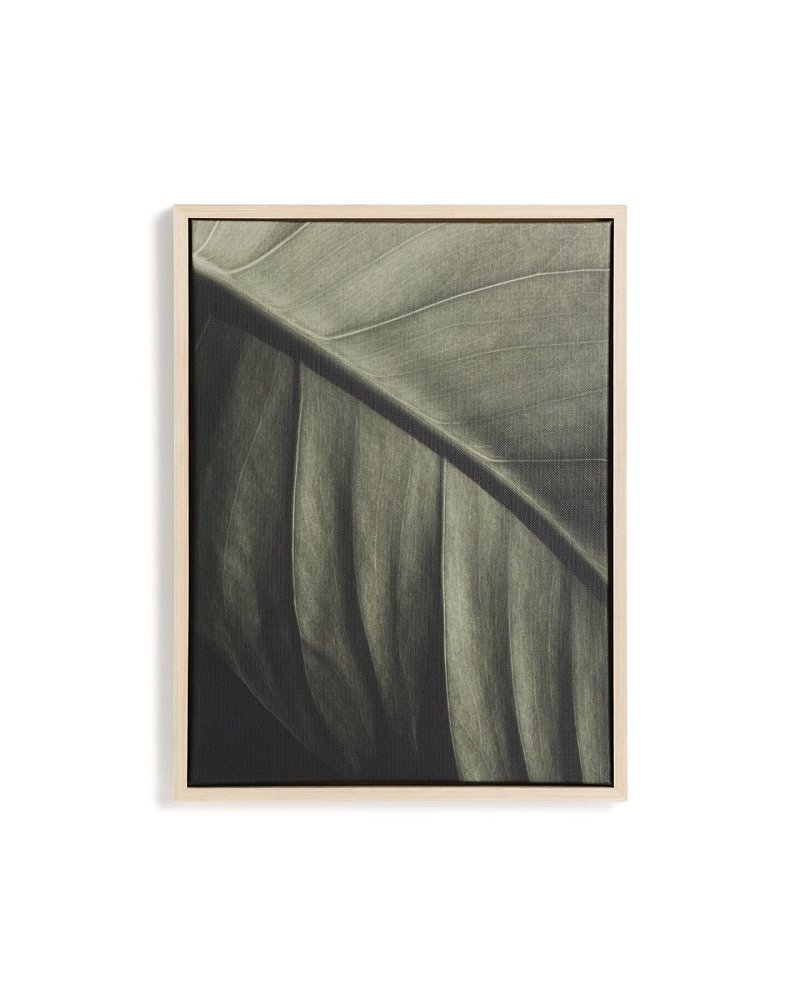 Фотография листа Foliae размер 32,5 x 42,5 см